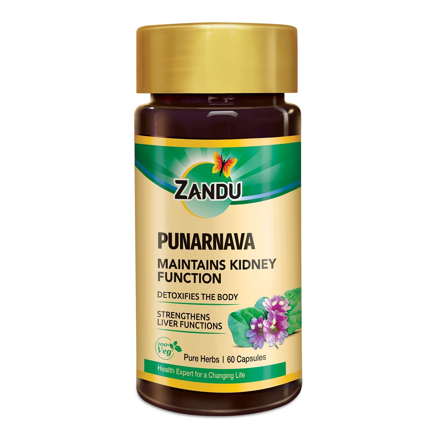 Zandu Punarnava Capsules, With Goodness of Natural Punarnava Extract known for Good Gut Health & for Healthy Appetite, Helps for Heart and Urinary Health – 60 Veg capsules