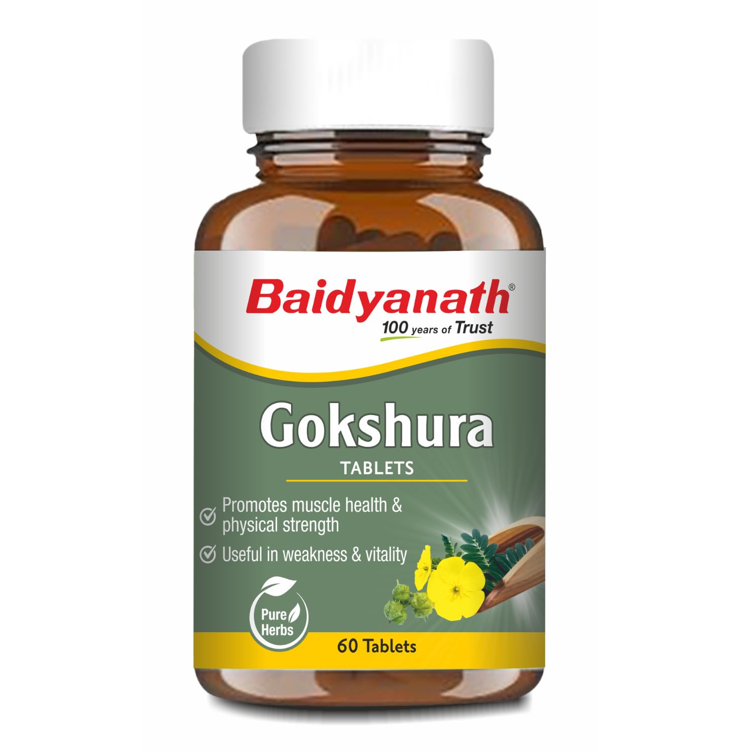 Baidyanath Gokshura – 60 Tablets | Supports Strength & Vitality