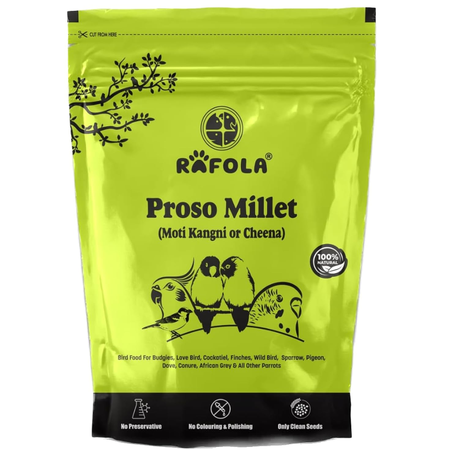 RAFOLA Proso Millet Bird Food | MOTI KAGNI | CHEENA Dana | Natural & Healthy | Premium Seed | Suitable for All Type Birds | 900g