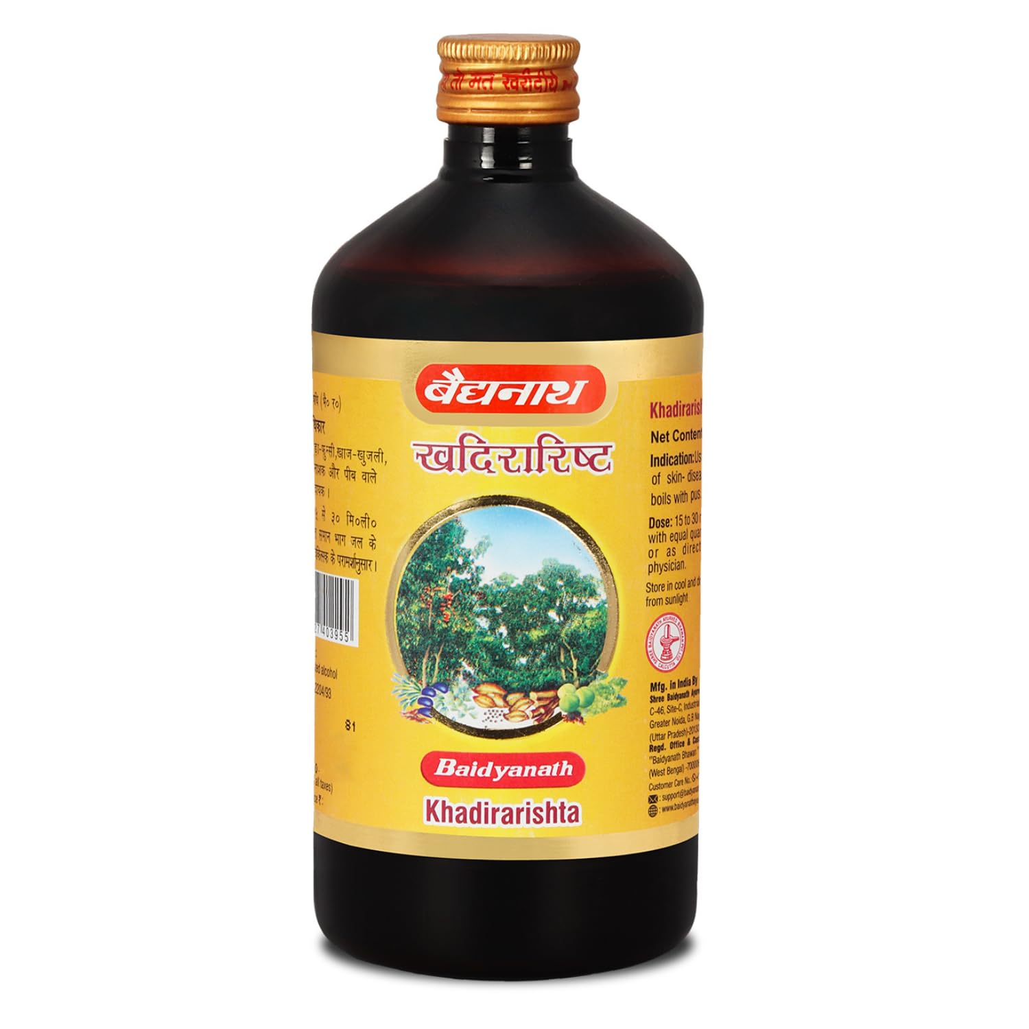 Baidyanath Khadirarishta | Ayurvedic Syrup for Skin Disorders | Blood Purifier, 450 ml